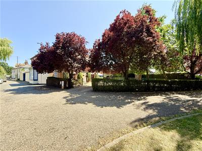 Picture 24